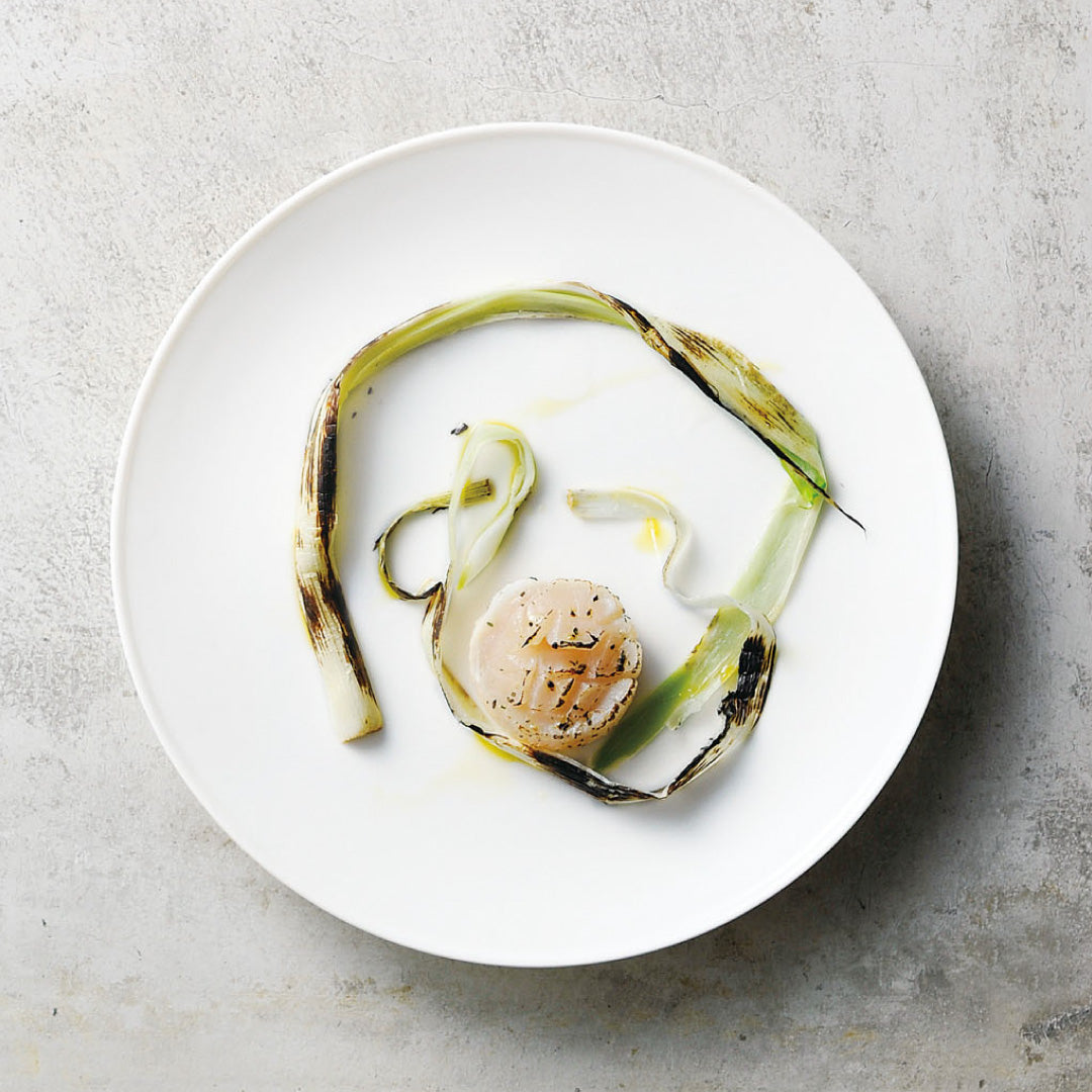 フィノ / プレート