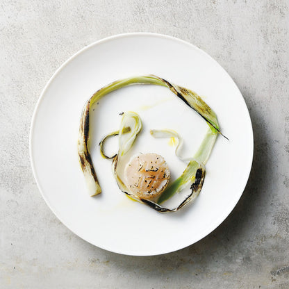 フィノ / プレート